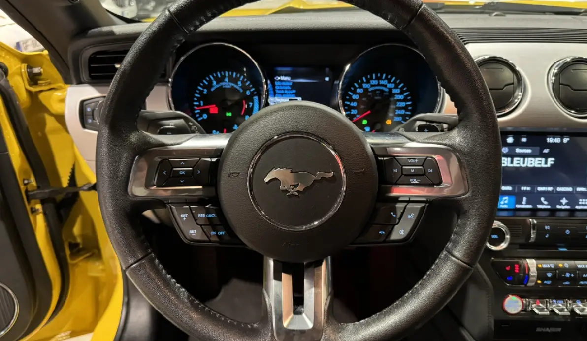Ford Mustang GT 5.0 V8 421cv BVA6