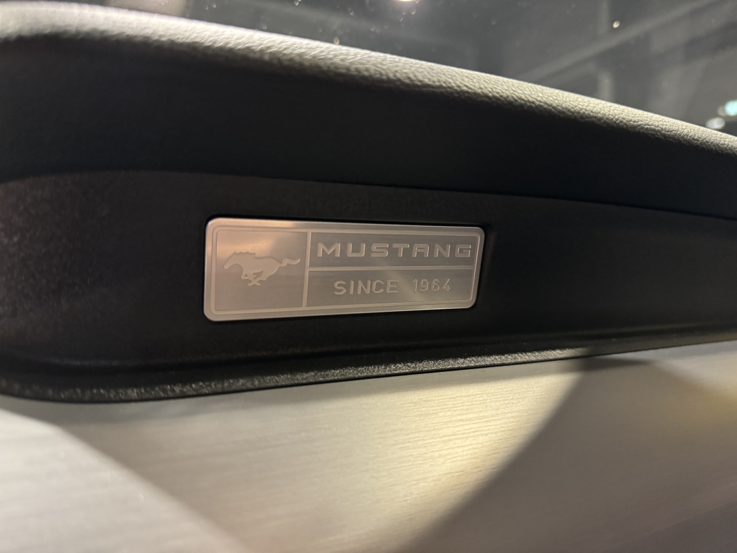 Ford Mustang GT 5.0 V8 421cv BVA6