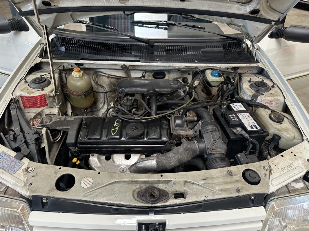 Peugeot 205 Green 1.4 70 ch