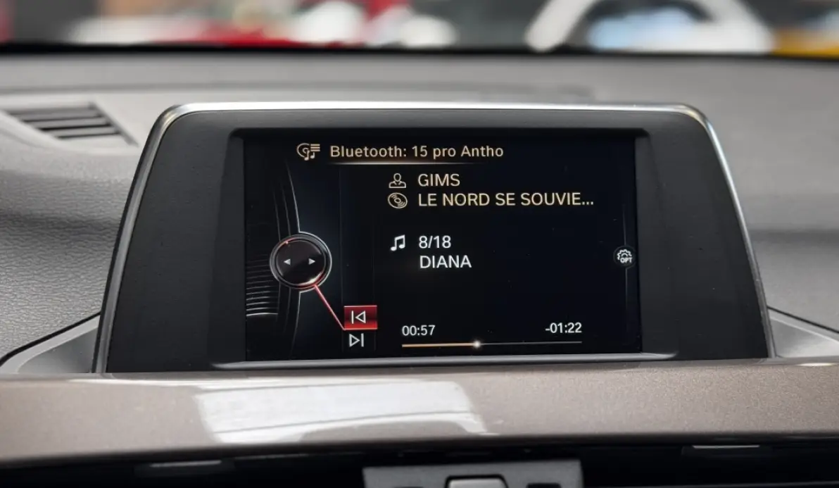 Bmw X1 (F48) SDRIVE18D 150CH XLINE BVM6