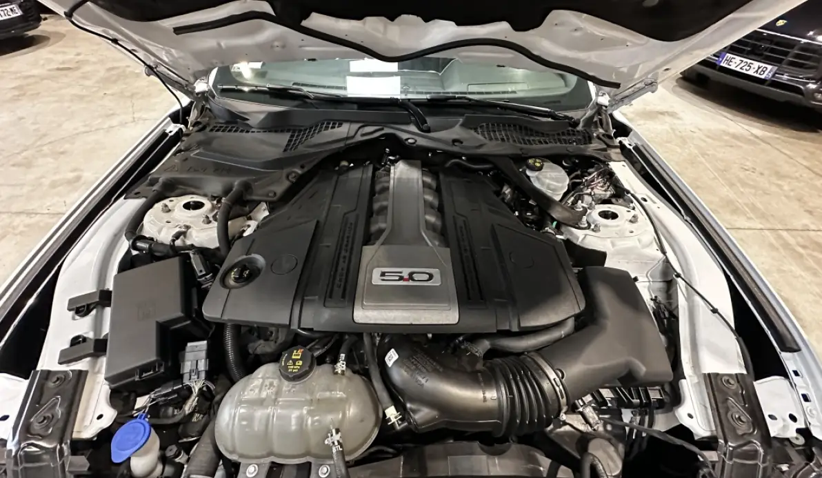 Ford Mustang 5.0 V8 450CH MUSTANG 55ème Anniversaire
